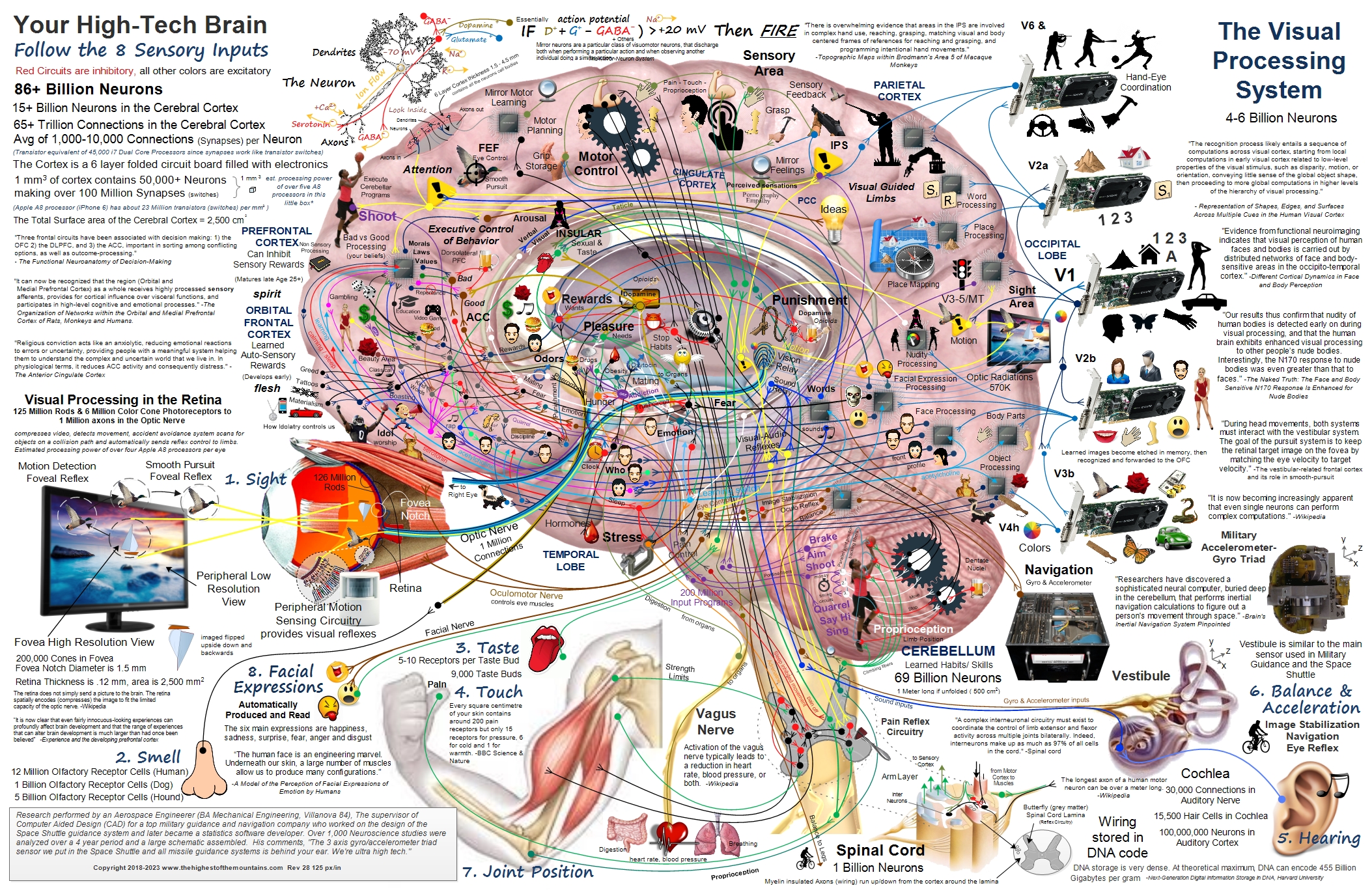 thehighestofthemountains_brain_map_brainwithquotes28-125px.jpg